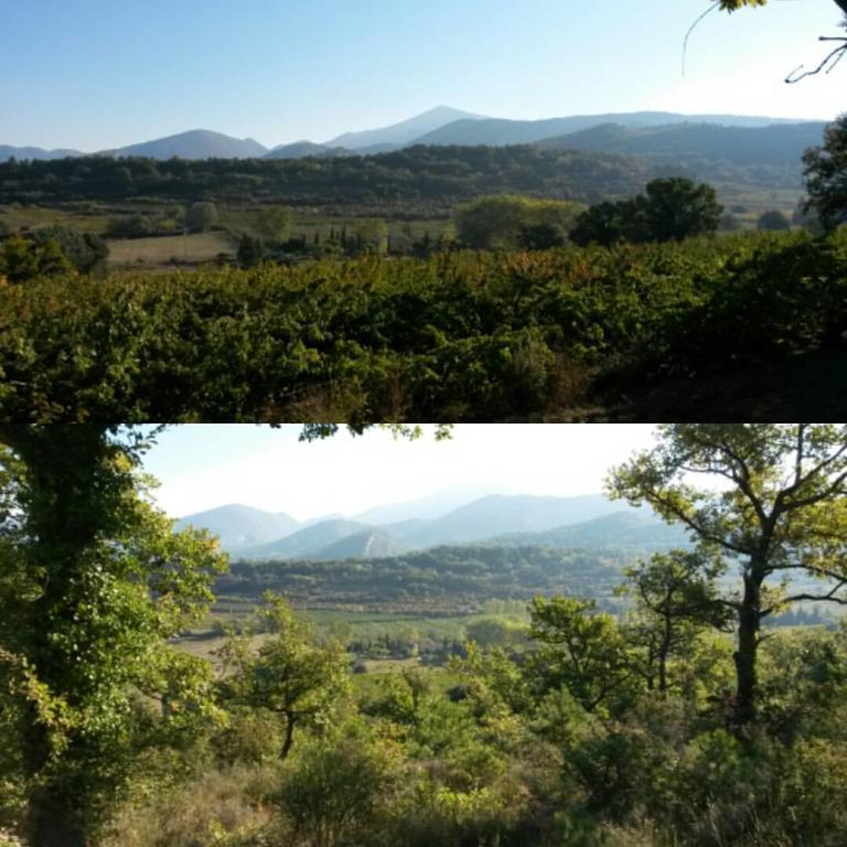 Chambres D'Hotes Aux Tournesols Malaucène Εξωτερικό φωτογραφία